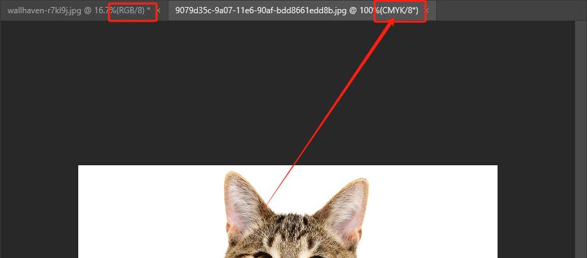 image-20231128163932682